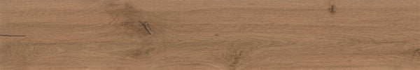 Atlas Concorde Log Deep Oak Matt 20x120 (R)