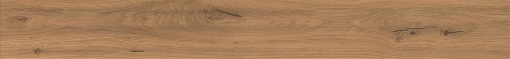 Atlas Concorde Log Amber Oak Forest Matt 20x180 (R)