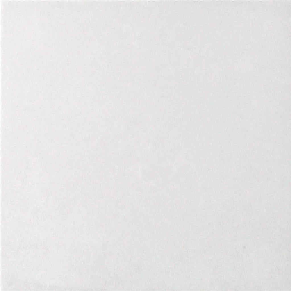 20x20