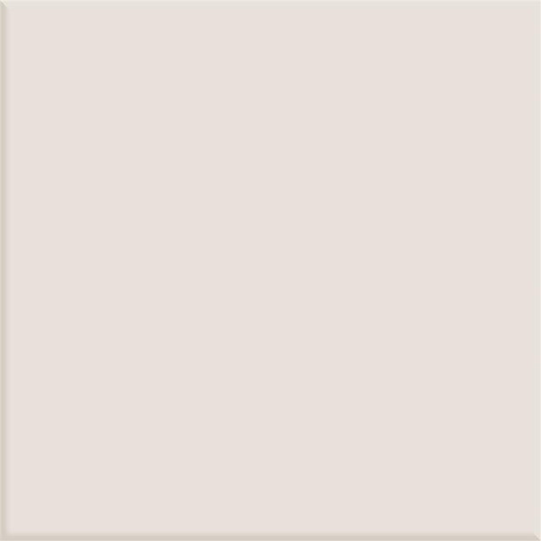 Steenbok Project Helder Grijs Glans 15x15 (M)