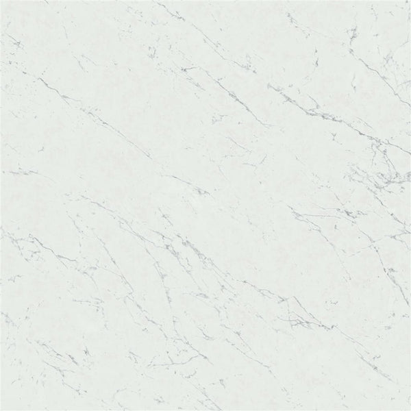 Atlas Concorde Marvel Stone Carrara Pure Lappato 120x120 (R)