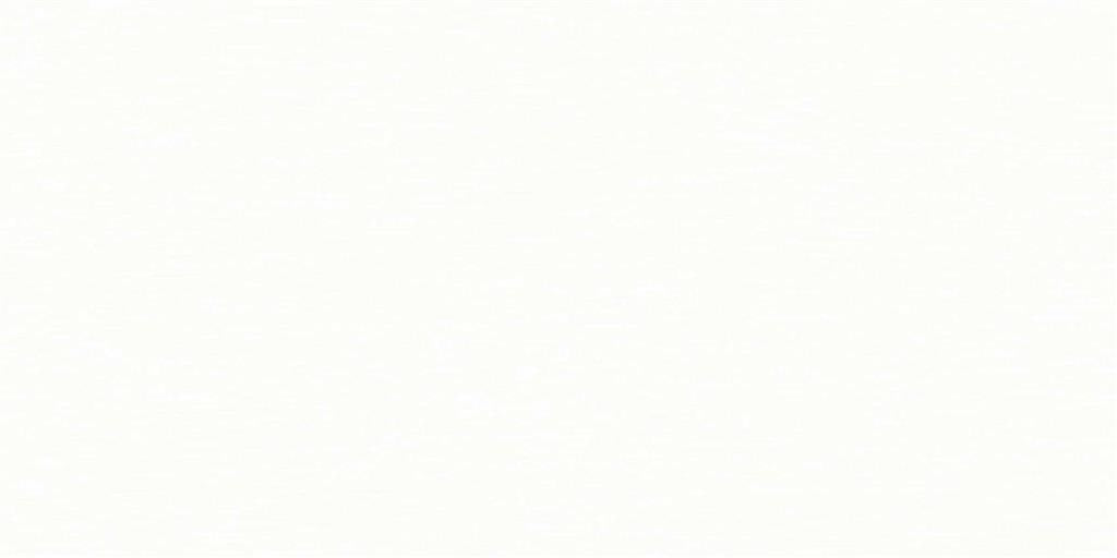 Recer Infinity White REV. 31x61