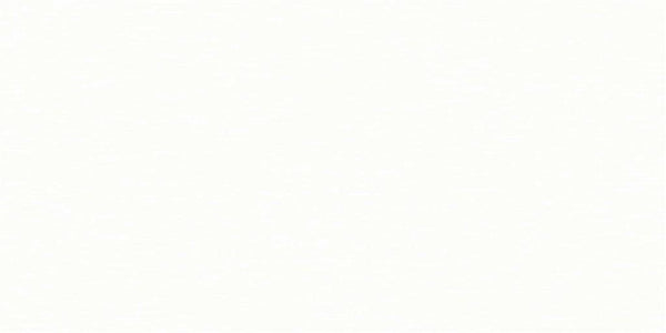 Recer Infinity White REV. 31x61