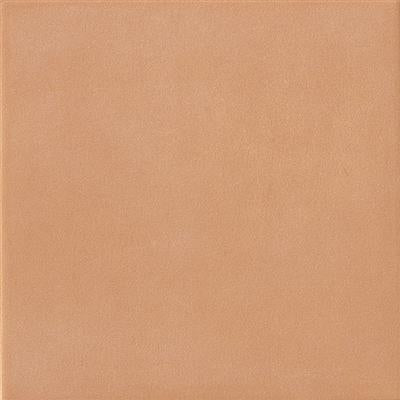 20x20