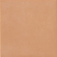 20x20