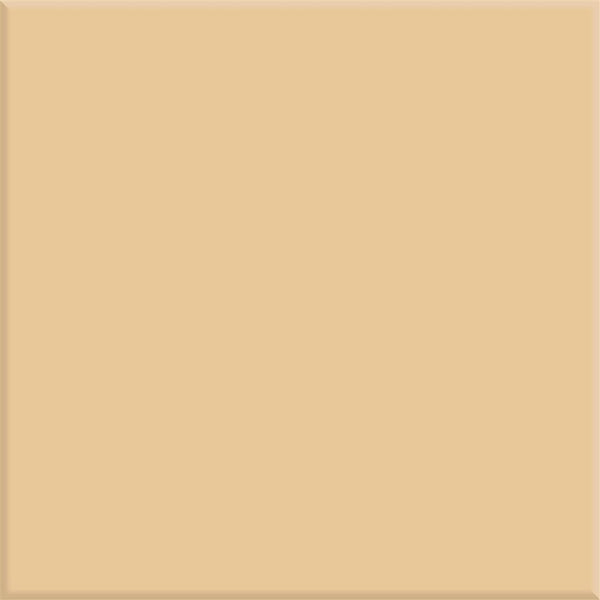 Steenbok Project Camel Glans 15x15 (M)