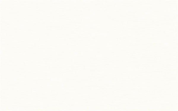 Recer Infinity White REV. 25x40