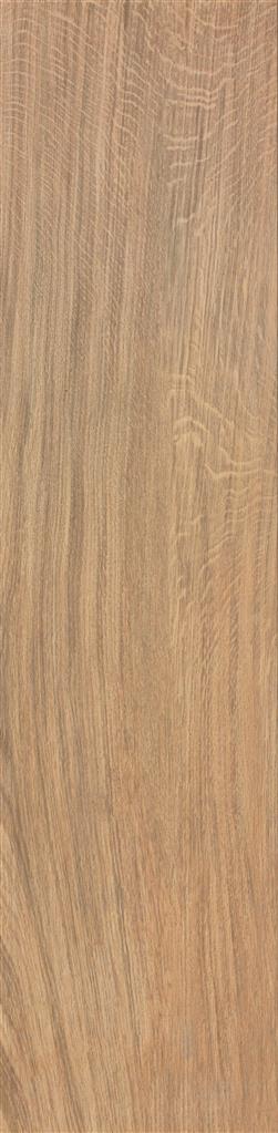 Atlas Concorde Etic Rovere Matt 22,5x90 (R)
