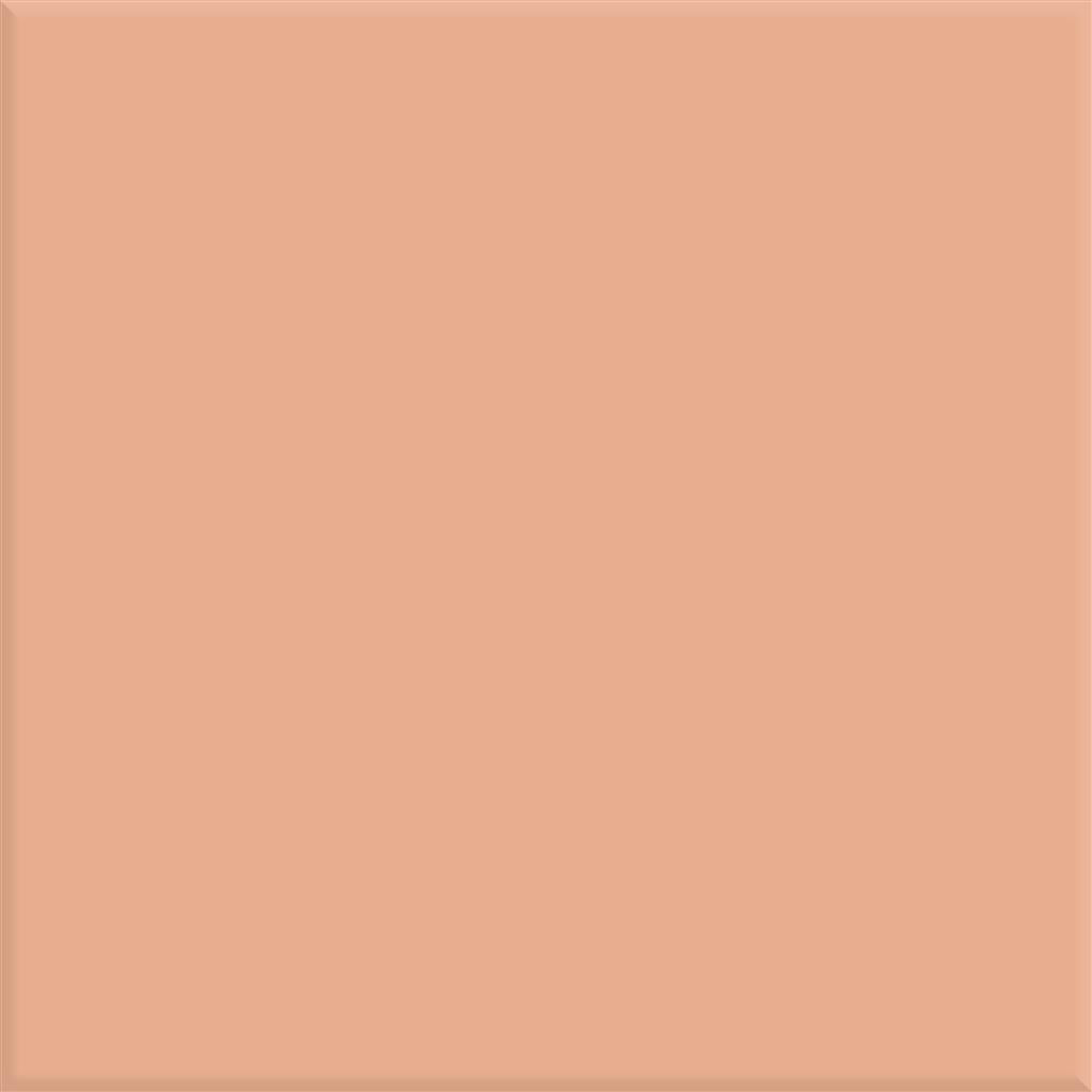 Steenbok Project Donker Roze Glans 15x15 (M)