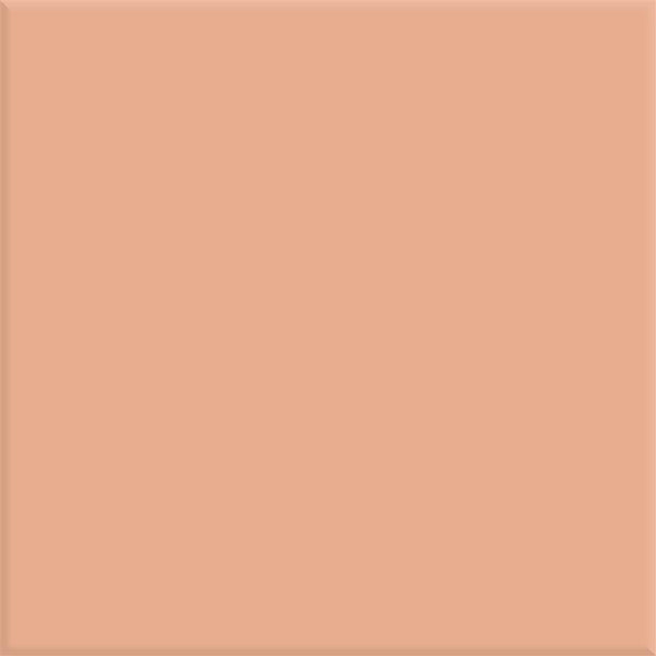 Steenbok Project Donker Roze Glans 15x15 (M)