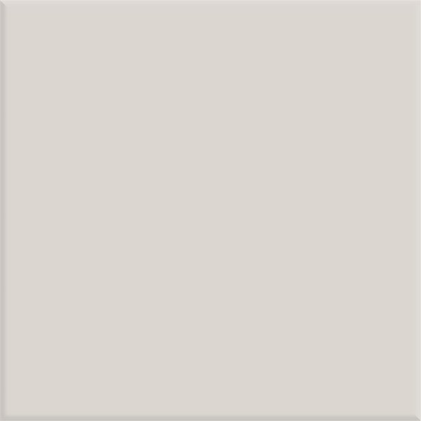 Steenbok Project Zilver Grijs Glans 15x15 (M)