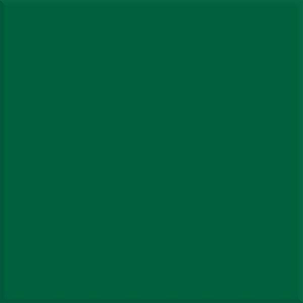 Steenbok Project Donker Groen Glans 15x15 (M)