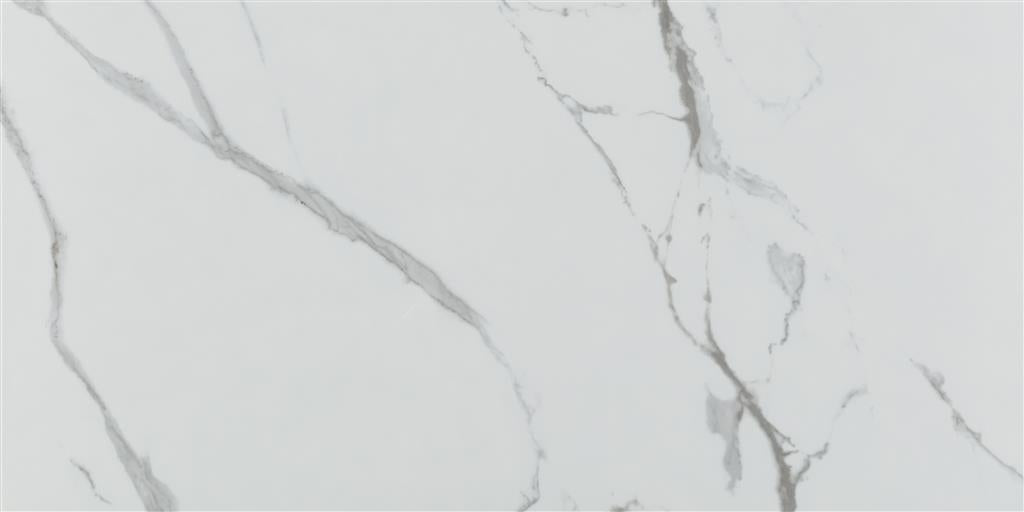 Ecoceramic Luxe Grayish Polished 60x120 (R)