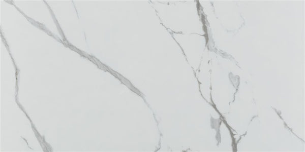 Ecoceramic Luxe Grayish Polished 60x120 (R)