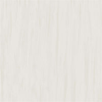 Atlas Concorde Marvel Stone Bianco Dolomite 120x120 gepolijst
