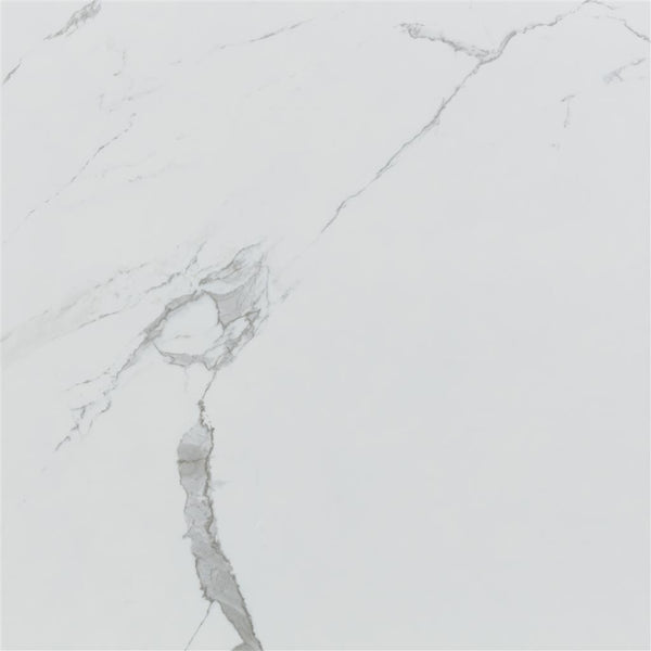 Ecoceramic Luxe Grayish Polished 120x120 (R)