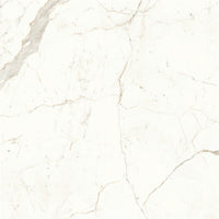 Atlas Concorde Marvel Shine Calacatta Prestigio Lappato 120x120 (R)