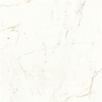 Atlas Concorde Marvel Shine Calacatta Prestigio Silk 60x60 (R)