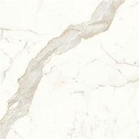 Marvel Shine Calacatta Prestigio Silk 60x60 (R)