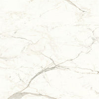Atlas Concorde Marvel Shine Calacatta Prestigio Matt 120x120 (R)