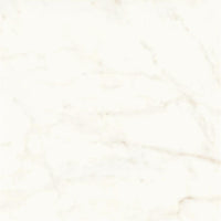 Atlas Concorde Marvel Shine Calacatta Delicato Matt 120x120 (R)