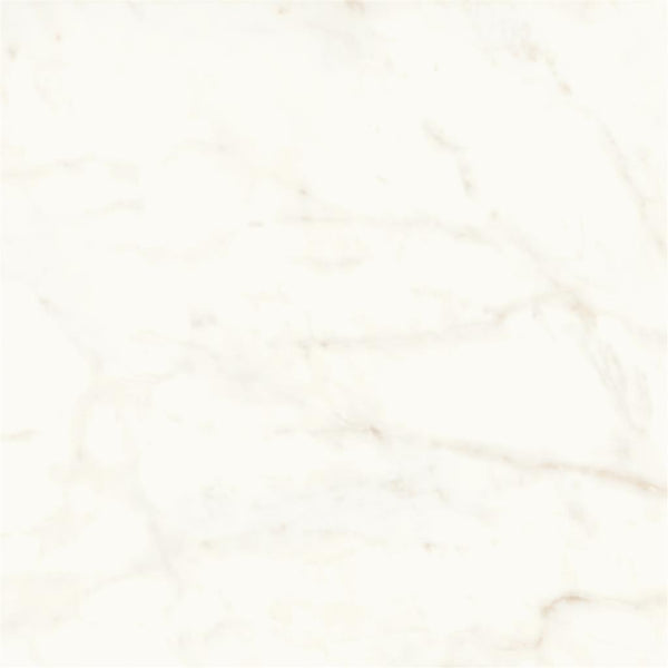Atlas Concorde Marvel Shine Calacatta Delicato Matt 120x120 (R)