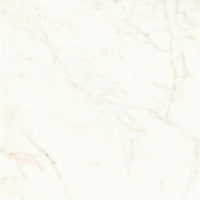Atlas Concorde Marvel Shine Calacatta Delicato Matt 120x120 (R)