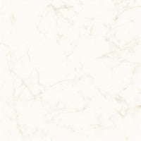 Atlas Concorde Marvel Shine Calacatta Delicato Matt 120x120 (R)