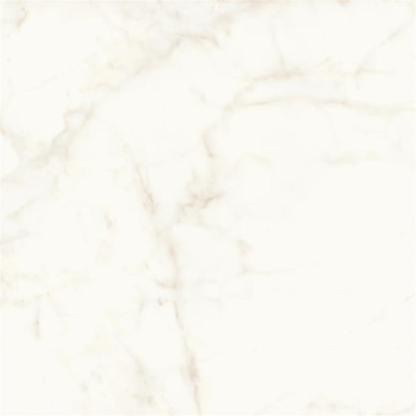 Atlas Concorde Marvel Shine Calacatta Delicato Lappato 120x120 (R)