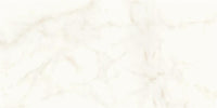 Atlas Concorde Marvel Shine Calacatta Delicato Matt 60x120 (R)
