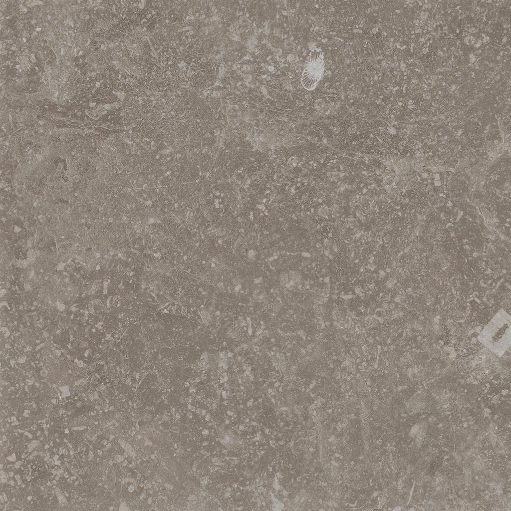 Cerdomus Nordenn Greige Naturale 20x20 Chiselled edge