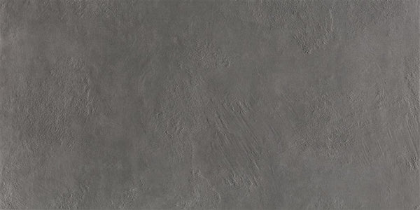 Ecoceramic Newton Graphite Natural 30x60 (R)