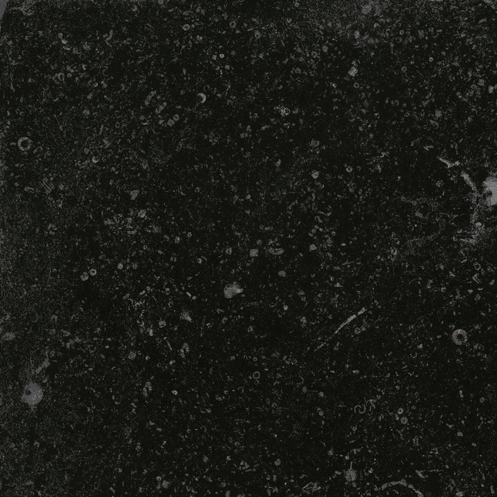 Cerdomus Nordenn Nero Naturale 20x20 Chiselled edge