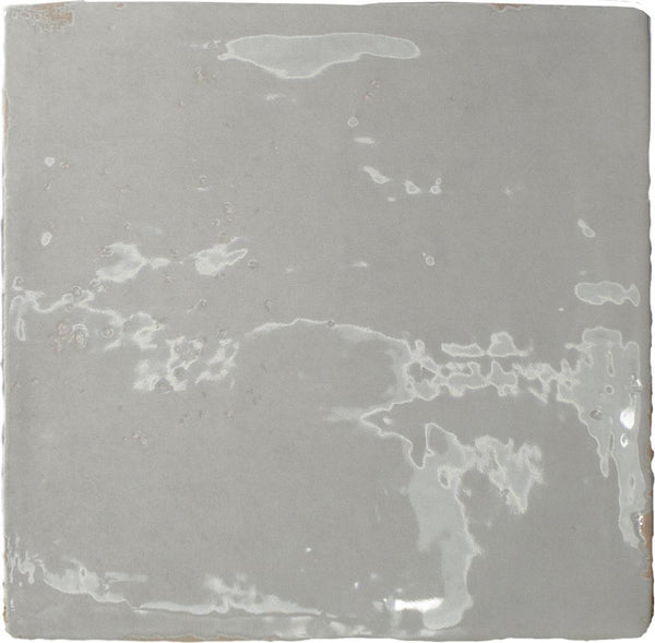Steenbok Dutch Wit Glans 13x13
