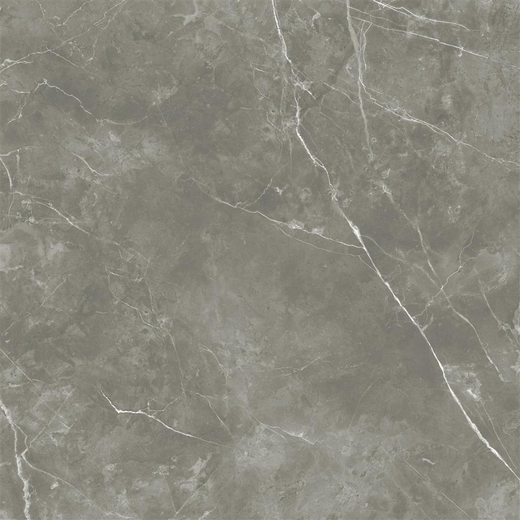 Ecoceramic Luxe Gris marmerlook tegel 120x120