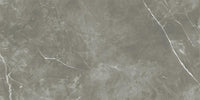 Ecoceramic Luxe Gris 60x120