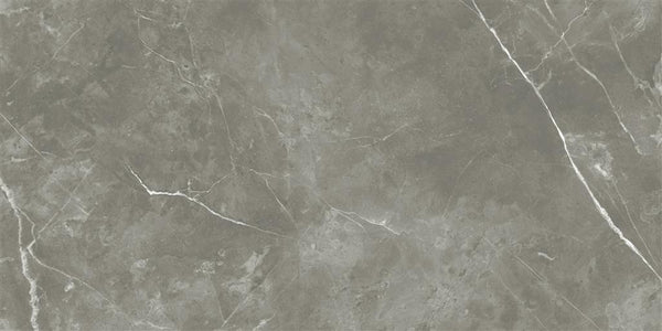 Ecoceramic Luxe Puccini Gris Polished 30x60 (R)