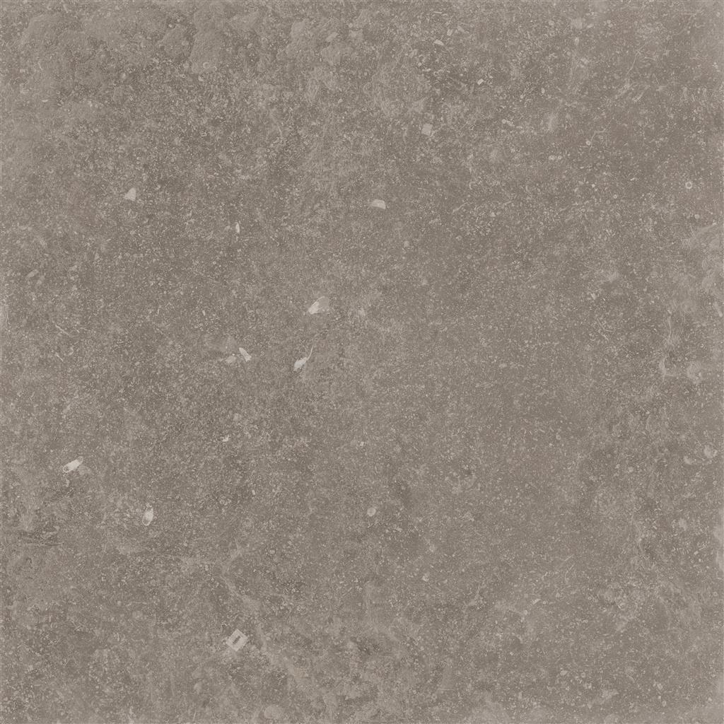 Cerdomus Nordenn Greige Naturale 60x60 (R)