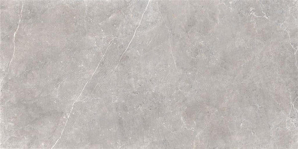 Unicom Starker Evostone Mist 60x120 (R)