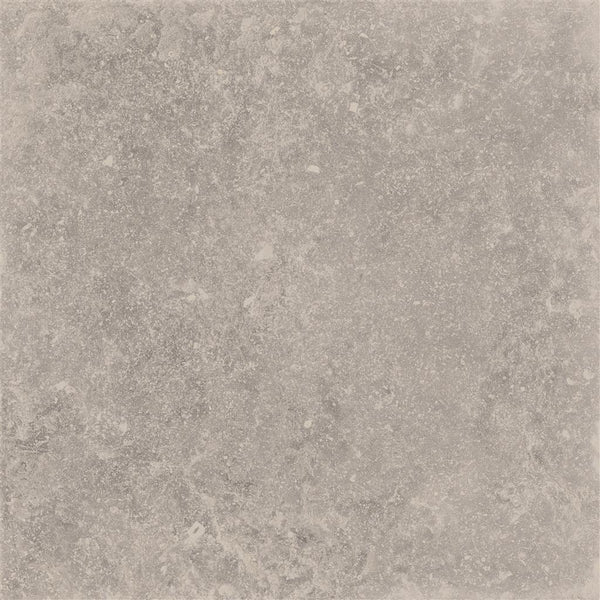 Cerdomus Nordenn Beige Naturale 60x60 (R)