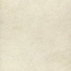 Ragno Season White