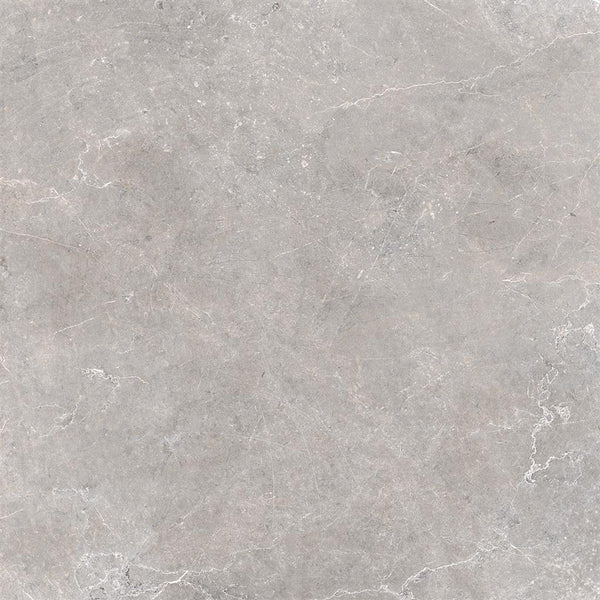 Unicom Starker Evostone Mist 60x60 (R)