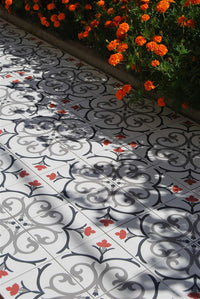 Kerion Neocim Classic Branche Framboise 20x20 Décor
