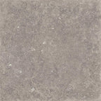 Cerdomus Nordenn Grigio