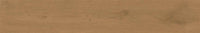Atlas Concorde Entice Natural Copper Oak Matte (Sensitech) 20x120 (R)